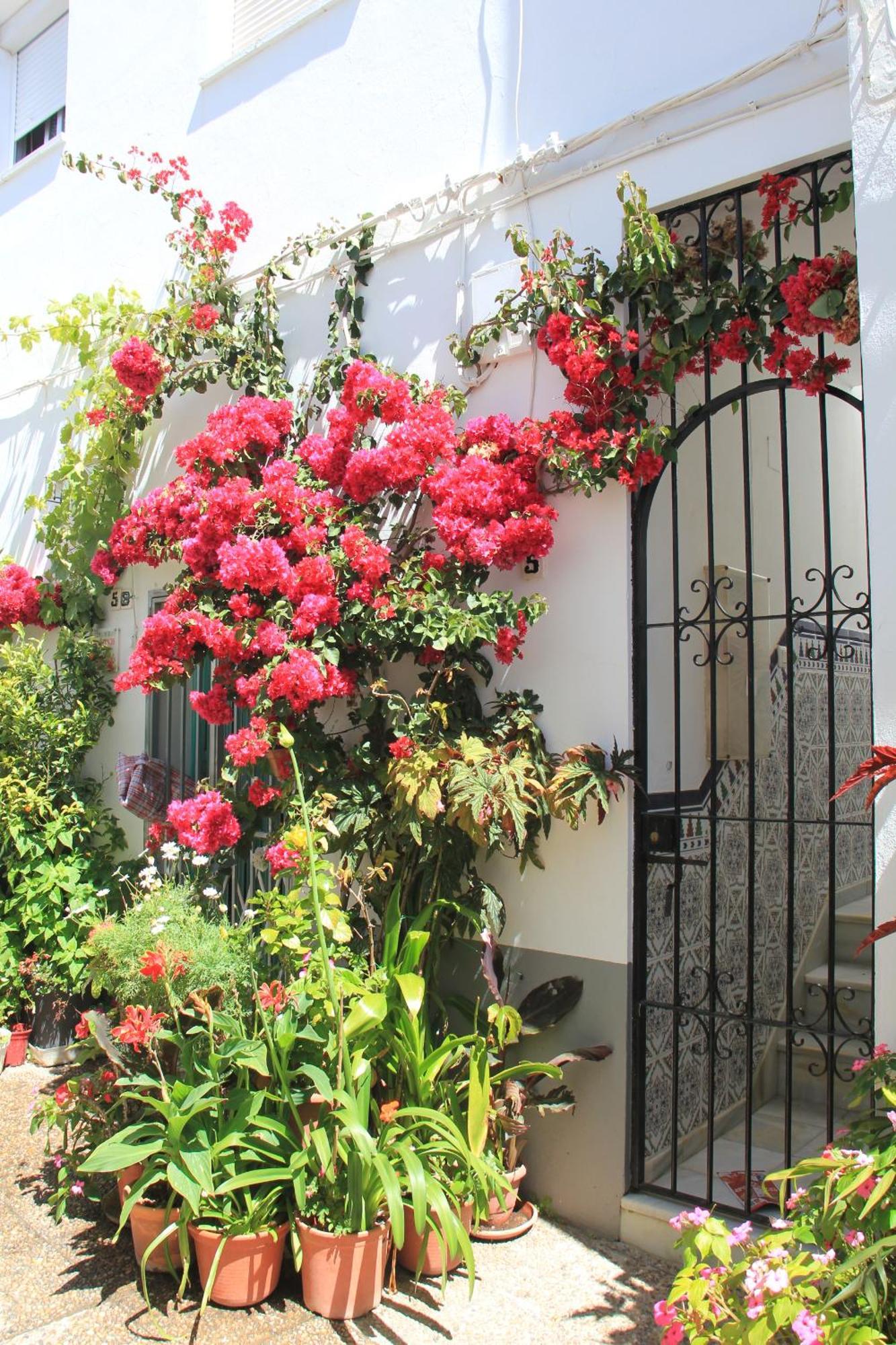 Casa Magallanes Conil Villa Conil De La Frontera Luaran gambar